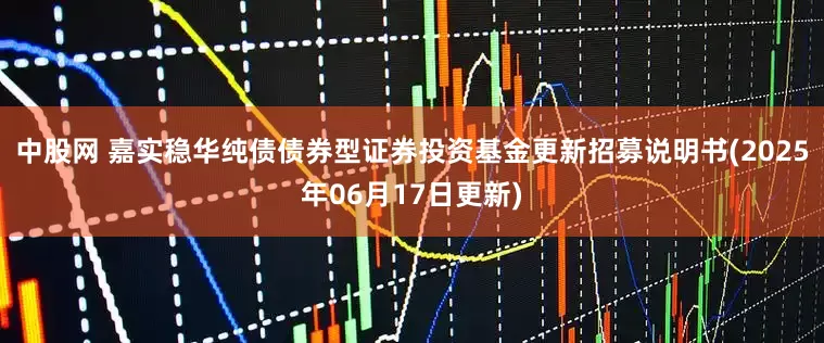 中股网 嘉实稳华纯债债券型证券投资基金更新招募说明书(2025年06月17日更新)