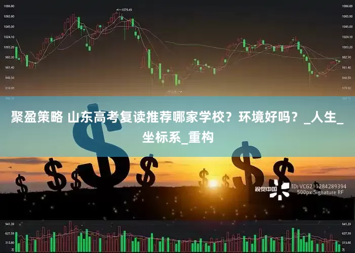 聚盈策略 山东高考复读推荐哪家学校？环境好吗？_人生_坐标系_重构