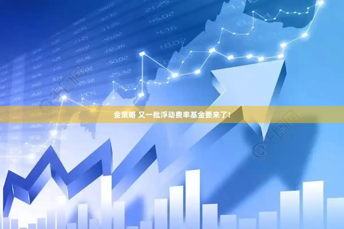 金策略 又一批浮动费率基金要来了！