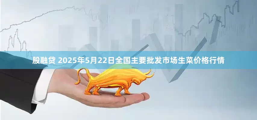 股融贷 2025年5月22日全国主要批发市场生菜价格行情