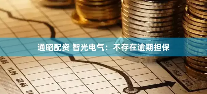 通昭配资 智光电气：不存在逾期担保