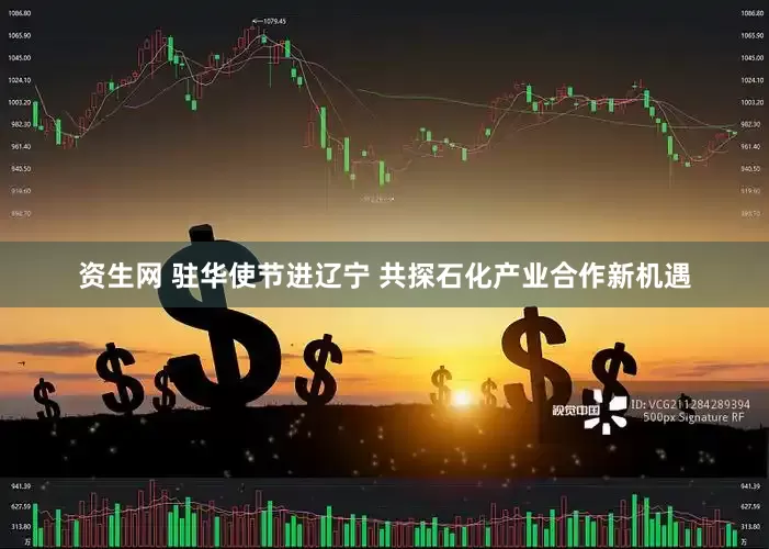 资生网 驻华使节进辽宁 共探石化产业合作新机遇