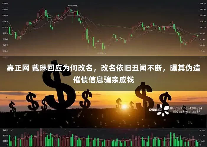 嘉正网 戴琳回应为何改名，改名依旧丑闻不断，曝其伪造催债信息骗亲戚钱
