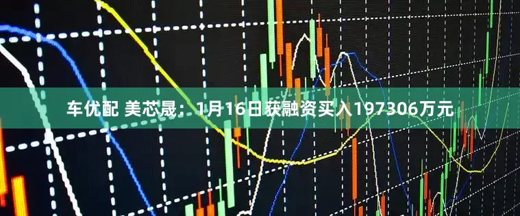 车优配 美芯晟：1月16日获融资买入197306万元