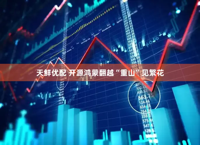 天鲜优配 开源鸿蒙翻越“重山”见繁花